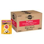 Pedigree Puppy Wet Dog Food, Chicken Chunks in Gravy Flavour, Pack of 30 (30 x 70g)