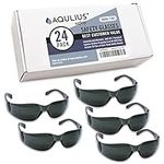 Aqulius 24 Pack of Tinted Safety Gl