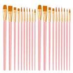 CNMTCCO Paint Brushes 20 PCS Nylon Hair Paint Brushes Set for Acrylic Oil Watercolor Gouache Painting Face Paint Brushes for Children and Adults (Pink)