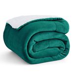 Bedsure Emerald Green Blanket Sherpa Fleece Twin Blanket Fluffy Blanket Plush Soft Fuzzy Microfiber Warm Cozy Thick Bed Blanket for Winter Twin (60 inch x80 inch )