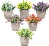 Artigreen 6 Pack Mini Artificial Pl