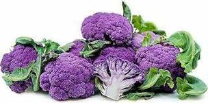 ALPINE HYBRID F1 HYBRID PURPLE CAULIFLOWER (BEGANI GOBHI) VEGETABLE SEEDS 50-70 SEEDS PER PACKET