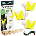 REKVEN - Small Sticky Fly Traps, 30 Pack, for Fruit Flies, Fungus Gnat, WhiteFly and Other Flying Insects