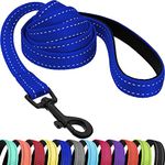 CollarDirect Nylon Dog Leash 5ft for Daily Outdoor Walking Running Training Heavy Duty Reflective Pet Leashes for Large, Medium & Small Dogs (Light Blue, Large)