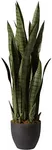 Nearly Natural 4855 Sansevieria Pla