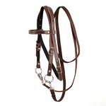 Y.J TAILS Leather Horse Bridle, Adjustable Western Browband Bridles for Horses with Bits and Detachable Reins (L (Above 1.2 Meters), Brown)