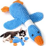 Strongest Dog Toys