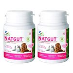 Natural Supplements For Diabetic Dogs