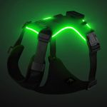 Light Up Dog Harness Rechargeable,LED Dog Harness for Night Walking,Dog Vest Harness for Small/Medium/Large/X Large Size Dogs-No Pull,High Visibility,4 Point Adjustable,Black，XS