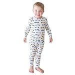 Posh Peanut Boys Pajama Sets - Viscose from Bamboo Toddler Pajamas, Unisex PJ for Kids, Baby Pajamas, Sleepers Toddler Pajamas, Viscose from Bamboo Pajamas for Babies (Enzo, 18-24 Months)