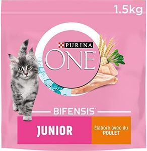PURINA ONE