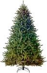 Balsam Hill 9ft Pre-Lit Classic Blu