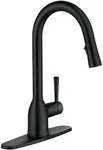 Moen Adler Matte Black One-Handle H