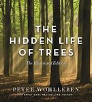 The Hidden Life of Trees (Illustrat