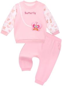 Gnainach Toddler Girl Clothes 18-24 Months Pink Butterfly Fall Sweatshirts