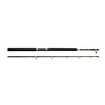 Boat Fishing Rod