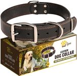 ADITYNA Heavy Duty Leather Dog Collar for Extra-Large Dogs - Soft and Strong Leather Dog Collar for XL Dog Breeds (Extra-Large: Fit 22" - 30" Neck, Black)