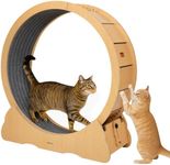 Cat Wheel, 43.3" XL Large Cats Exer