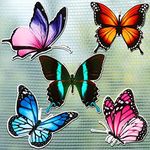 10 Pieces Butterfly Screen Protecto