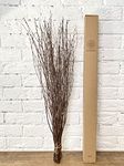 Vase For Bamboo Sticks