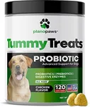 Probiotics for Dogs Digestive Healt