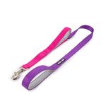 Petsway Padded Dog Walking Leash ((4 Feet) Amethyst & Fuschia ), Double Handle Traffic Double Handle Traffic Solid Color Leash for Dogs Pet with Padded Handle and Strong Secure Snap Hook