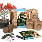 Bonsai Tree Seed Starter Kit - Mini Bonsai Plant Growing Kit, 4 Types of Seeds, Potting Soil, Pots, Pruning Shears Scissor Tool, Plant Markers, Wood Gift Box, Indoor Garden Gardening Gifts Idea