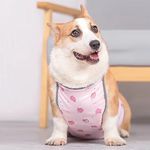 Chest Protector For Dogs