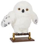 Wizarding World, Enchanting Hedwig Interactive Harry Potter Owl with Over 15 Sounds and Movements and Hogwarts Envelope, Kids Toys for Ages 5 and up