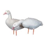 SKYFALL DECOYS 12-Pack Snow Goose Hunting Decoys - Collapsible Decoys for Migrating Birds Hunting - Easy Field Set Up - Appelant de Chasse Oie Blanche - Extra Resistant & Light Plastic