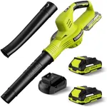 Leaf Blower Cordless 21V Electric C