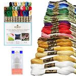 DMC Embroidery Floss Pack,Colorful Holiday Collection,DMC Embroidery Thread, Kit Include 30 Cotton Assorted Color Bundle with DMC Cross Stitch Hand Needles size 1-5. Premium Embroidery String/Yarn.