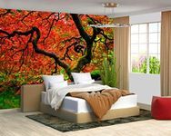 Fightal - Japanese Maple Tree Wallpaper Large Wall Mural for Living Room Bedroom (Papel tapiz para pared de habitatacion) 151" x 105" (It's not Peel and Stick)
