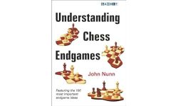 Understanding Chess Endgames