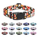 Suredoo Adjustable Dog Collar with Patterns, Ultra Comfy Soft Nylon Breathable Pet Collar for Small Medium Large Dogs (S, Floral Orange)