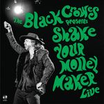 Shake Your Money Maker (Live)