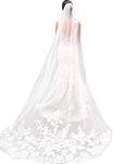 Single Layer Wedding Veil Lianshi Bridal Veil Lace Embroidery Bride Supplies 3m (Off White)