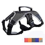 Peak Pooch - No-Pull Dog Harness - 