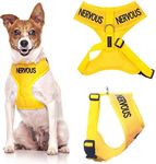 "Nervous" Yellow Color Coded Small Vest Dog Harness (Maybe Unpredictable) Prevents Accidents by Warning Others of Your Dog in Advance!