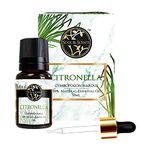 Soul & Scents Pure & Natural Cold Pressed Citronella Essential Oil | Premium Therapeutic Oil for Aromatherapy, Natural Insect Repellent, & Mood Enhancement | 10ml