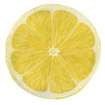 Ambesonne Fruit Lightweight Blanket, Lemon Juice Lemonade Drink Summer Season Holiday Abstract Style Botanic Artwork, Fuzzy Sofa Bed Cover Funny Gift for Friends & Family, 60" Round, White Mustard