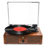 Vinyl Record Player with Built-in Speakers and Bluetooth Input,Turntables for Vinyl Records with 3 Speed,RCA,AUX Headphone Jack Brown Wooden