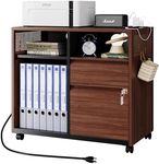 Letaya Mobile 2 Drawer File Cabinet with Lock, Metal Lateral Printer Stand Filing Storage Cabinets with Shelves for Home Office-A4/F4/Letter (Charging Socket)