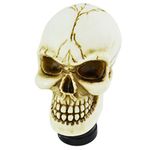 Temzzer Skull Resin Transmission Shift Lever Knob Heavy Shiny Vehicle Shifter Handle Stick Head for Most Manual Automotive Vehicles (Beige)