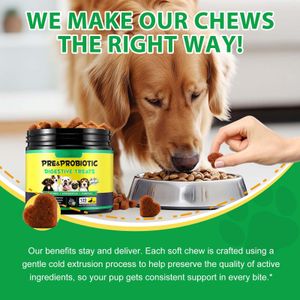 Dog Probiotics Chews – 120 Count Digestive Supplement for Pets
