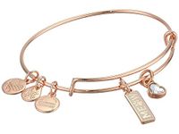 Alex and Ani Duo Charm Meow and Woof Bangle Bracelet, One Size, Metal