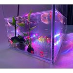 BigTron LED Aquarium Lighting, Waterproof RGB Fish Tank Light Multicolor Underwater Crystal Glass Lights (RGB 28cm)