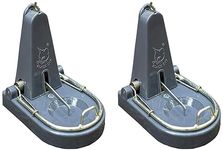 Black Cat Standard Rat Trap:Mouse Catch (Grey, 1) (Pack of 2)