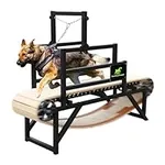 BowWowTread Dog Treadmill for Mediu