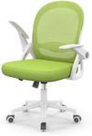 naspaluro Home Office Chair Ergonom